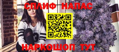 твердый Гай
